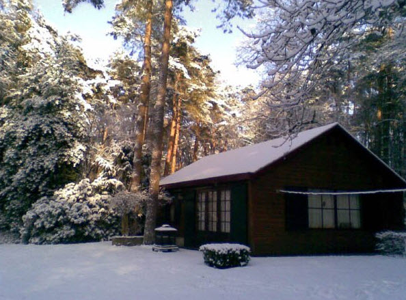 Bungalow Oisterwijk, park in het bos | TotKijkinOisterwijk