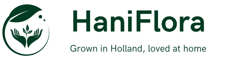 haniflora nederlandse webshop in planten